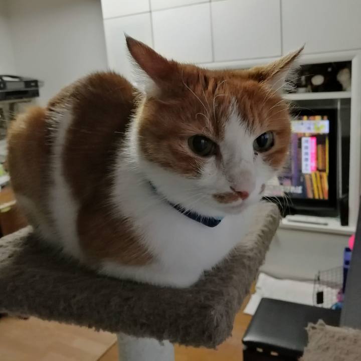 95de222c 3c17 4742 a03b c172a2a6f093 1602196307139