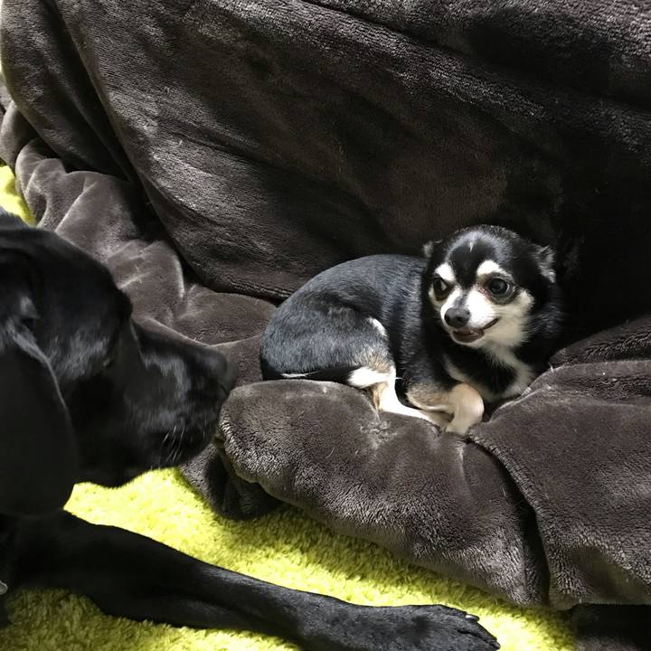 95de45eb 943f 4db0 96b0 abcec7e909c4 1552291946618