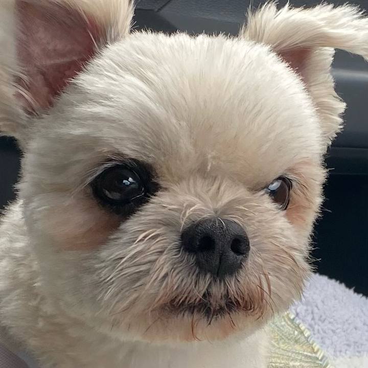 95de89b6 6c58 4fb5 bfcf 01875a3227dd 1755956677151