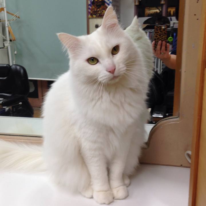 95de9dbb 50bf 4353 bb44 989dd3fe8829 1512183698630