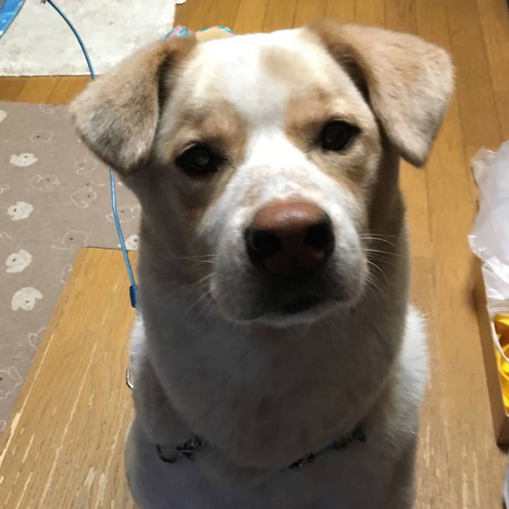 95deae13 96df 4dfc accb 67c38667fe72 1525862066810