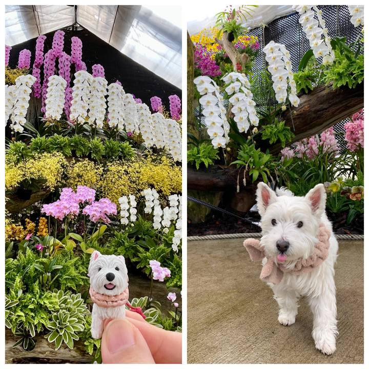 95dee77d 8f43 49ea b873 44dacce8c719 1774060841545