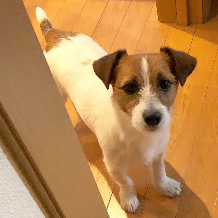 95defe29 a5bb 457a bd4d 8c3d033312ab 1518524448574