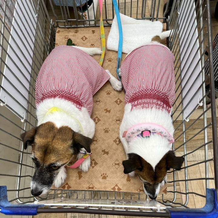 95df20d0 5900 4aaf ba4e e0a9fda7af5c 1691322474238