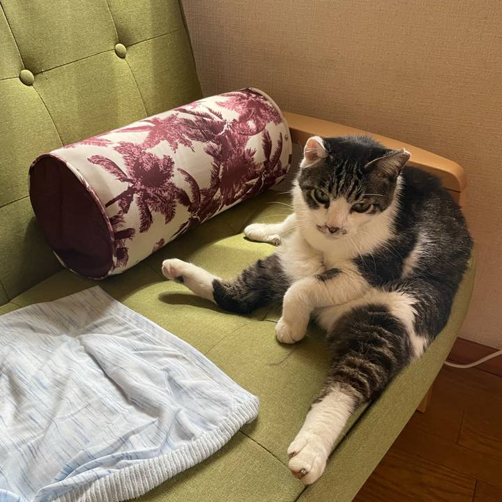 95df6fcd 5183 47a5 b043 03d0b0f664de 1688211582513