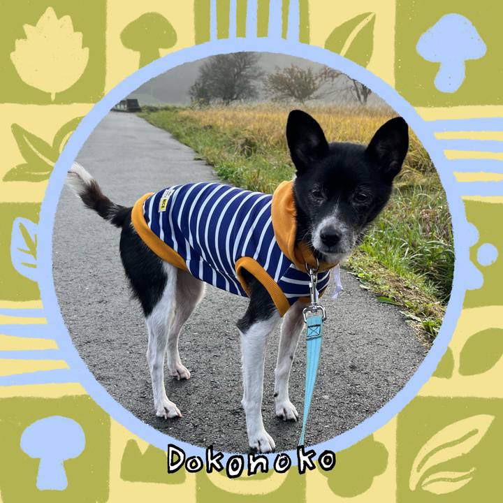 95df86d8 8074 481d b5c3 1045f07d6fd9 1762002437579