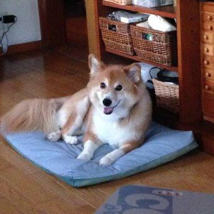 95df9ded b0f6 4622 8d06 31fced010352 1565504565267