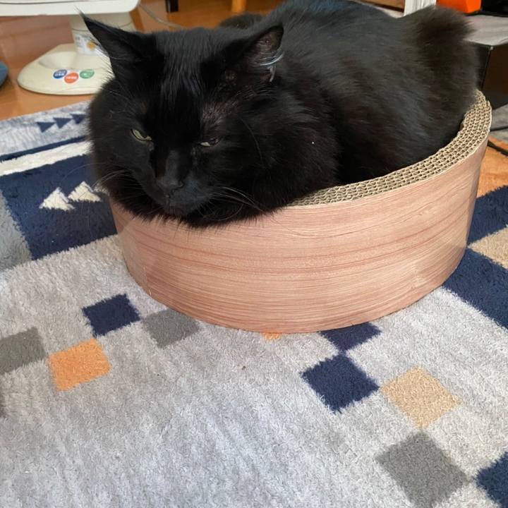 95dfb8aa 983c 46a1 a0d4 75ece851d09a 1608032798500