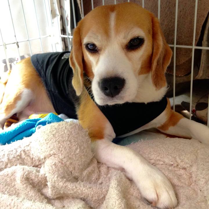 95dfb9c1 4544 408a 8866 78c325c412b7 1726957012096