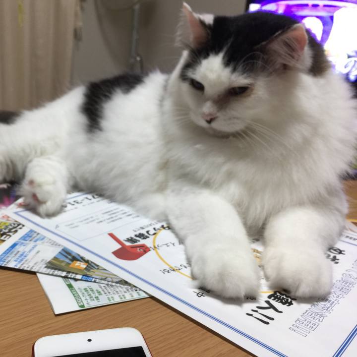 95dfbbac 7d26 48ed bb84 d89a85ebe237 1537447624934