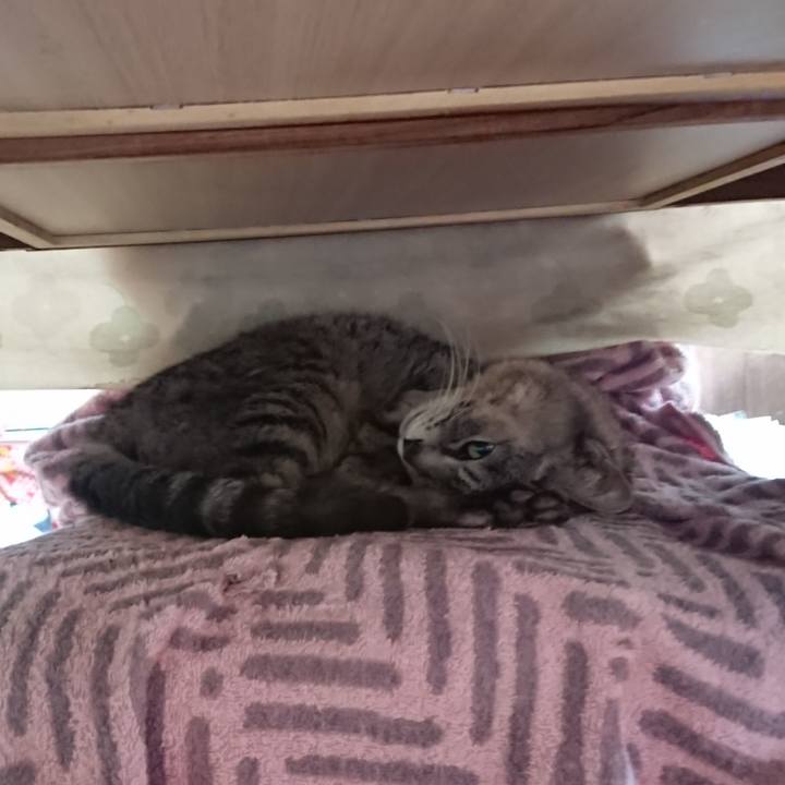 95dfd74f 5a9e 40ff a51a fc7a15d47a15 1588373158716