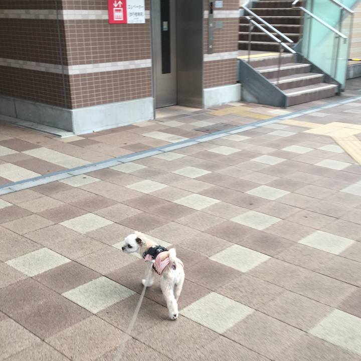 95dff33a 7902 42f1 a98f ce846b6edfa2 1565734923313