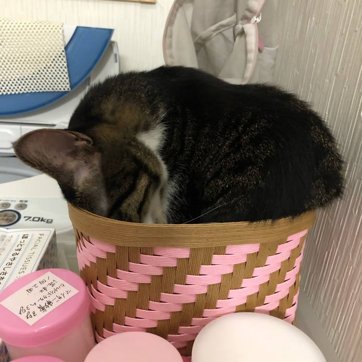 95dff472 1e9b 47d5 95e4 eda4aebf2ed7 1565533823794