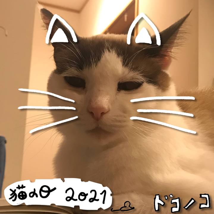 95e02466 c177 4aa8 abc3 66a745f36ed5 1613966215465