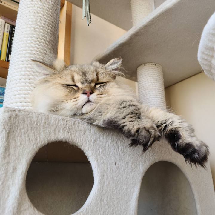 95e03da6 6c9e 400d a82b 07c16e8e2091 1650613515909