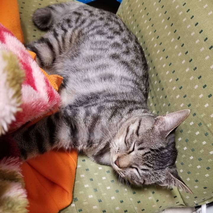 95e05eb0 490a 4793 99b0 2f0e3b34a2f8 1671358337758