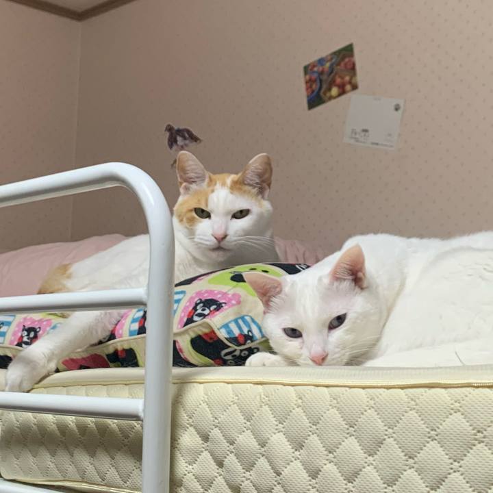 95e06c14 1c98 4289 8fdd 30602d91af91 1620050535635