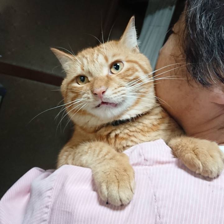 95e07259 c327 4ea3 a82f 966feb6949bc 1661424787720