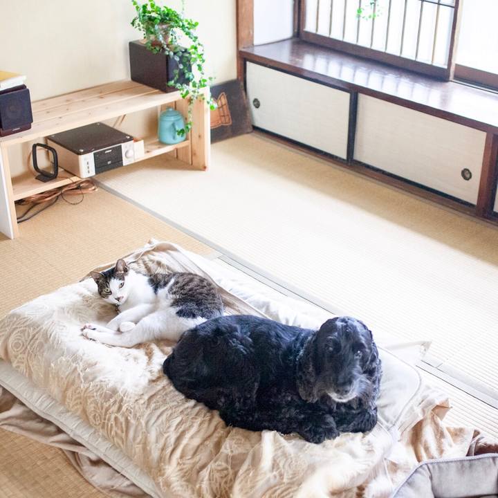 95e081a5 4e9a 43f8 9e42 072a6393e742 1594174132924