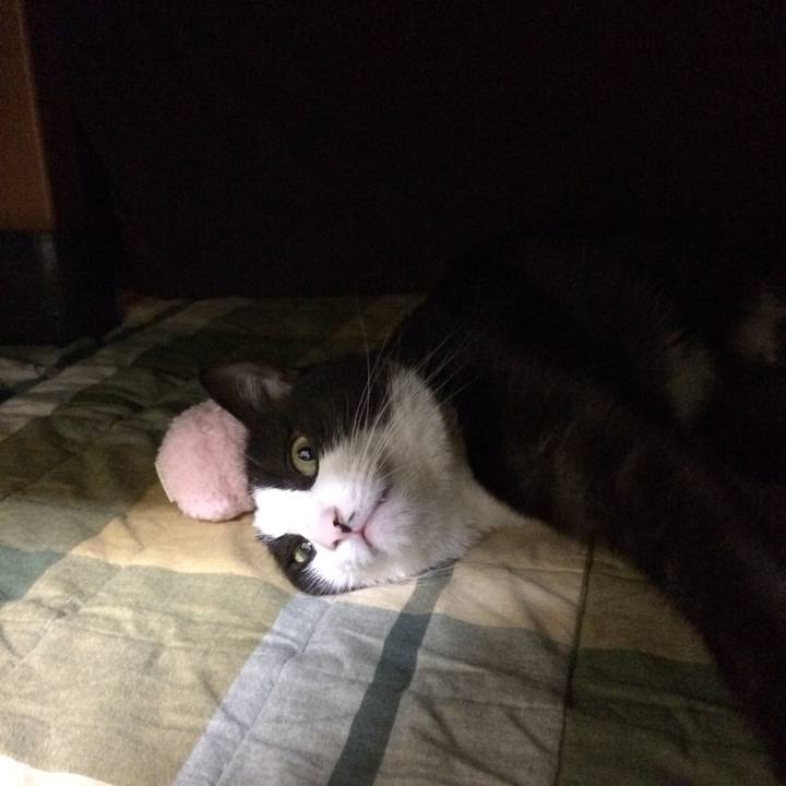 95e090b7 1009 4f33 9792 75b426789a7d 1511787225294