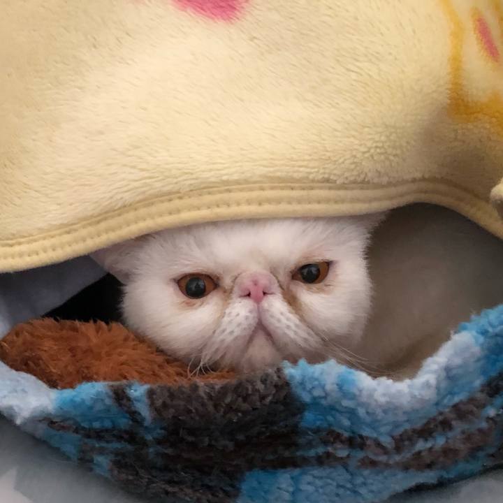 95e0cd05 be3f 4cf0 a88a 07f9d850e49f 1672530039205