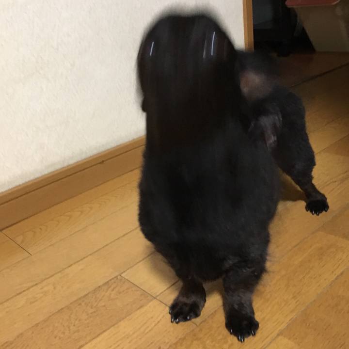 95e104e6 8d50 41c7 8b65 adbea5f2695f 1518264009423