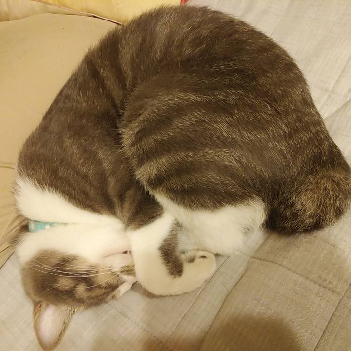 95e11fd6 d5af 43e3 a38f d501cb046db0 1590330662303