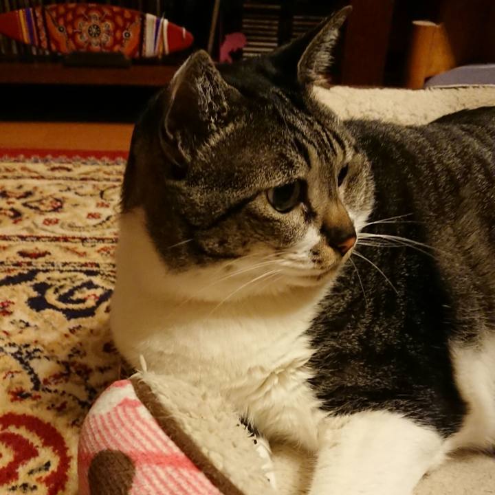 95e1573b 4ad4 47f1 8c24 82951a628e66 1525905821750