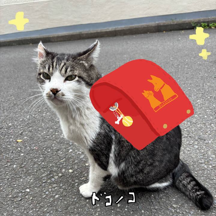 95e15ee0 d72b 4116 bbb8 d30654f2e072 1744339744129