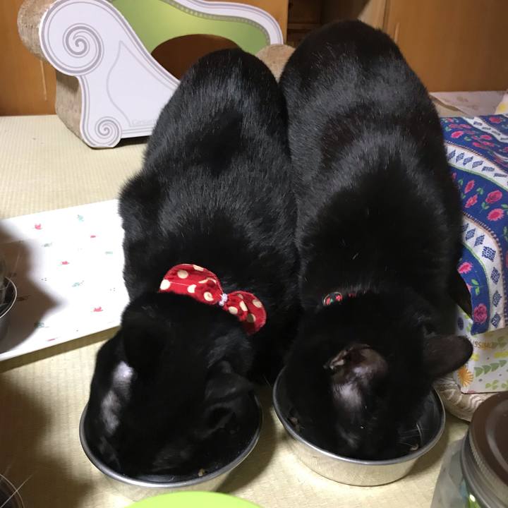 95e165e9 1f00 4984 973f a400c1f059dc 1545571700668