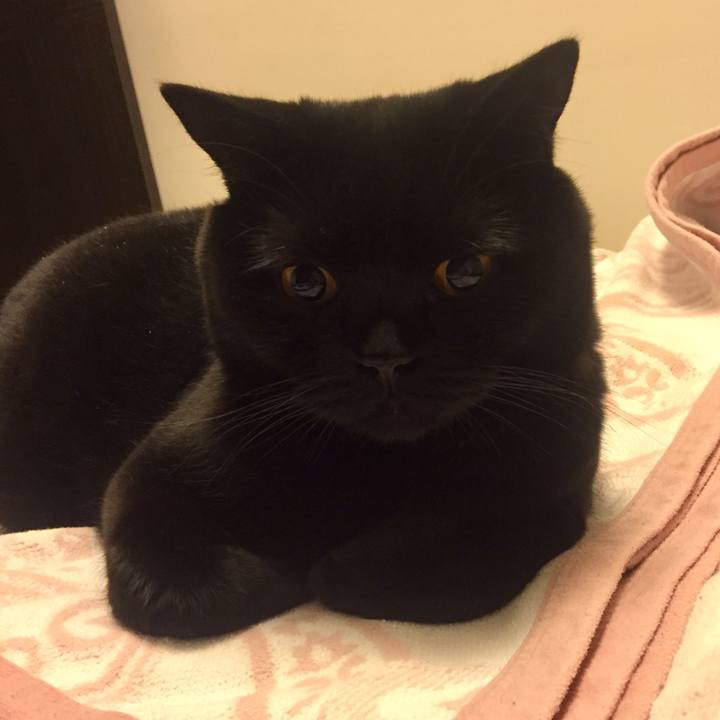 95e1ac2f 517c 463f 8811 702b95707dc4 1569421962498