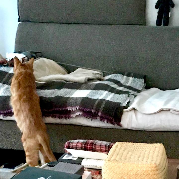 95e2094a faaf 45fd 88ce 426b2bcc072f 1549689248148