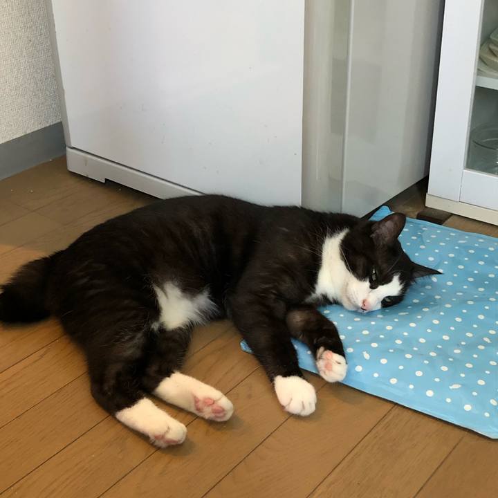 95e22ab0 828e 4b47 b1e1 4ef84d451c30 1564355801493