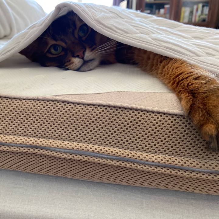 95e2393b 3fce 47f1 b886 e895f76ed177 1735034879151