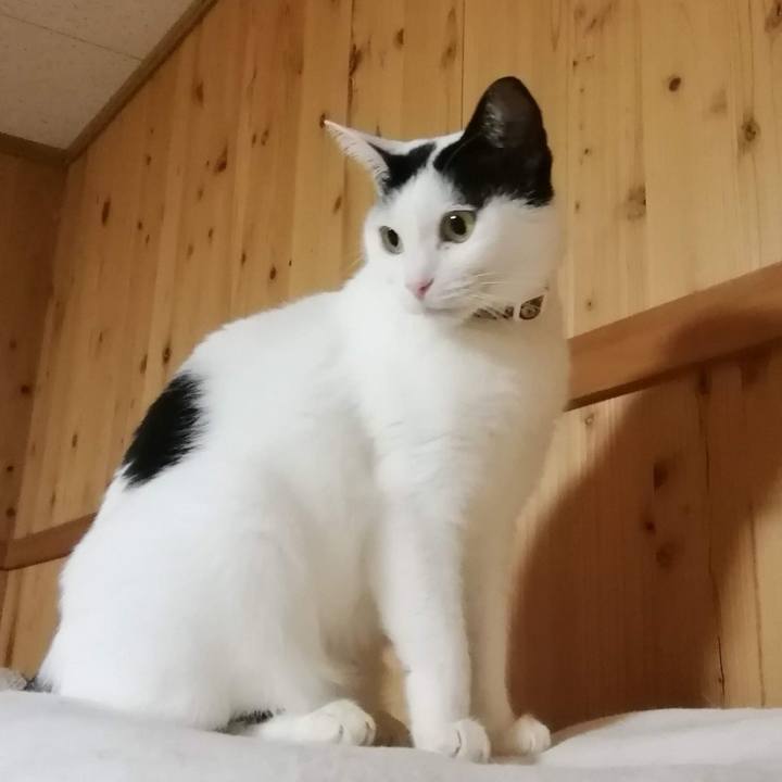 95e24f0f 7972 4f51 bbf5 4b5b39bfae2d 1547120575840