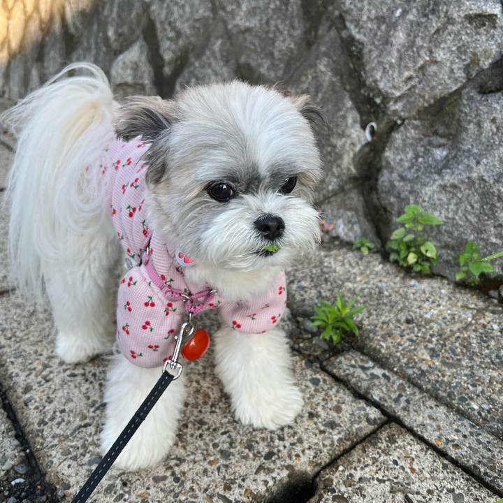 95e26f6d f213 49a0 9703 cdfb5d95200e 1719014443041