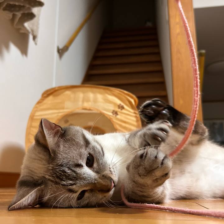 95e2ccd3 f1df 45e7 8d89 e56d3879d109 1753278993591