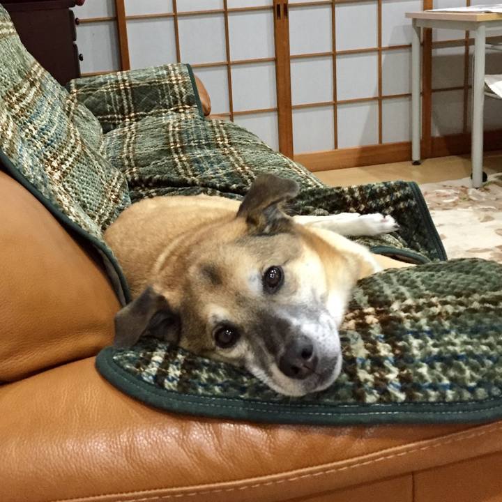 95e2e4e0 7e84 401c 987a 7c2f84b23bca 1577014462948