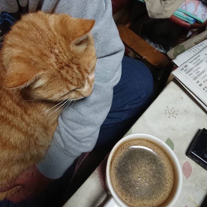 95e30f0d d3c3 45a1 bf4f 8f7981f5e307 1594756505278