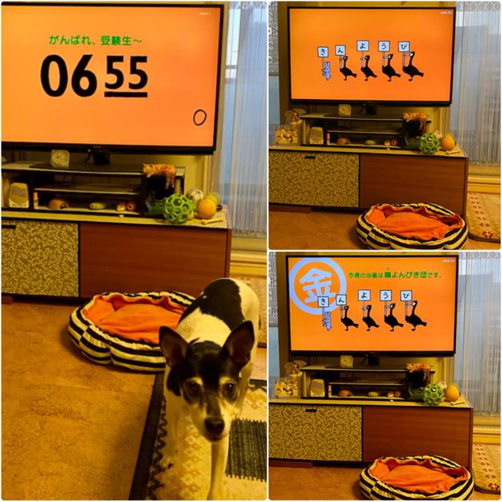 95e3334a 0cf4 409e 9e21 11e212da5070 1610661742999