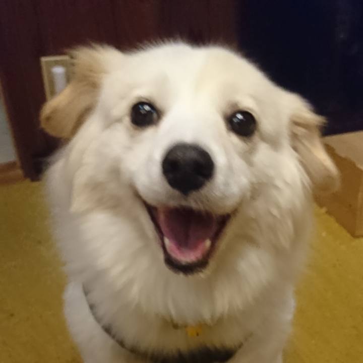 95e38564 af51 4c93 9d9d a6f032ddf3e9 1556713248561