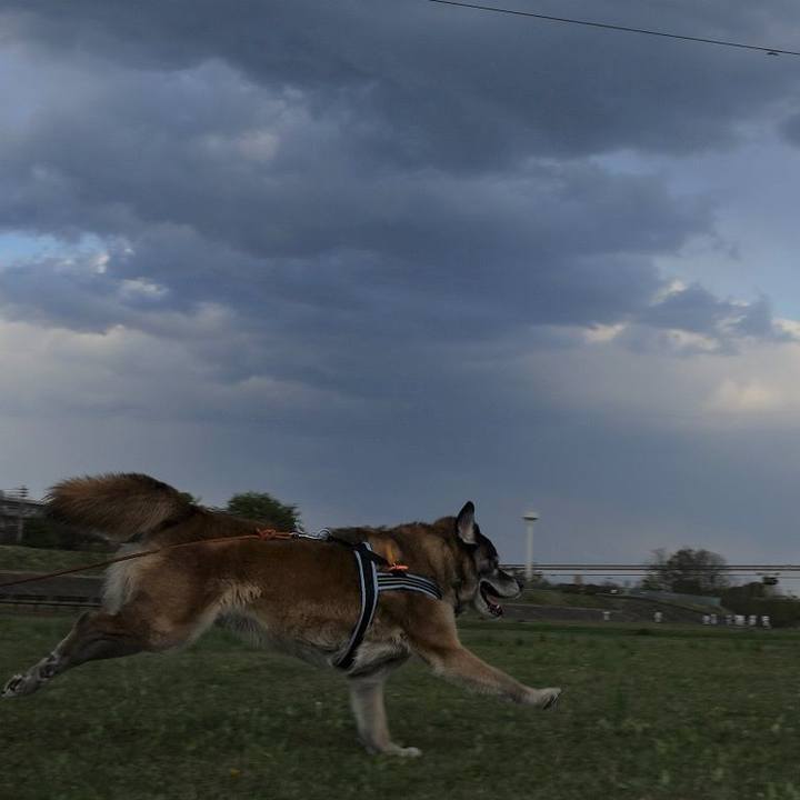 95e38d01 48e2 4741 bb7a a5f961465277 1523181476413