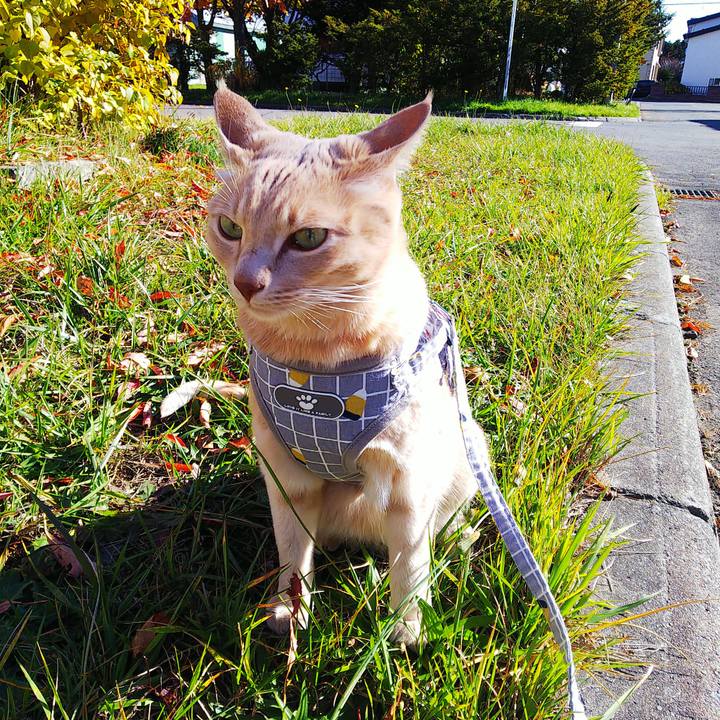 95e38e04 68a8 46df 9db8 1024e5a4a6e8 1636166170992