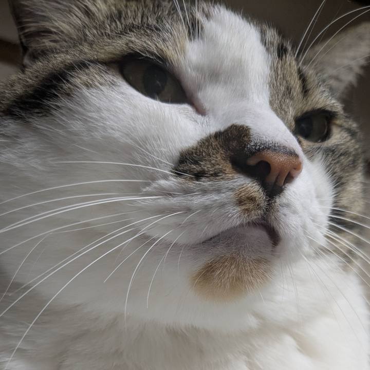 95e39900 86f6 4117 939b e037170d9ed7 1758971317178