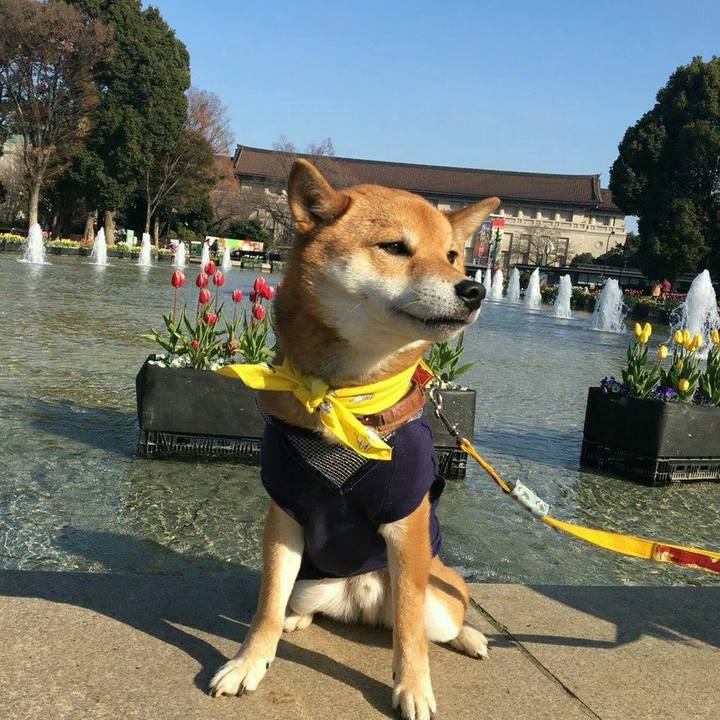 95e39f54 8a67 4846 ae38 670c3791f815 1516525189414