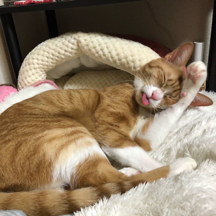 95e3a491 86c7 47c4 8688 e633af32b502 1608734737802