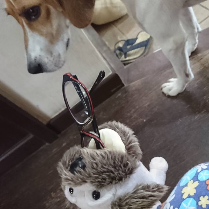 95e3b21b bbea 4124 bf65 9a80ef2c9156 1568362214371