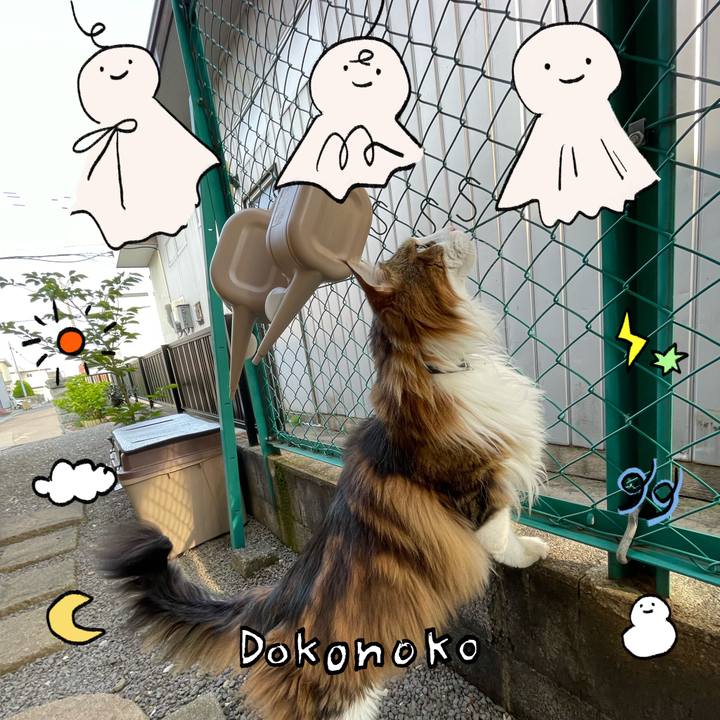 95e41187 7765 412e 8cee f17784d0c759 1749504428007