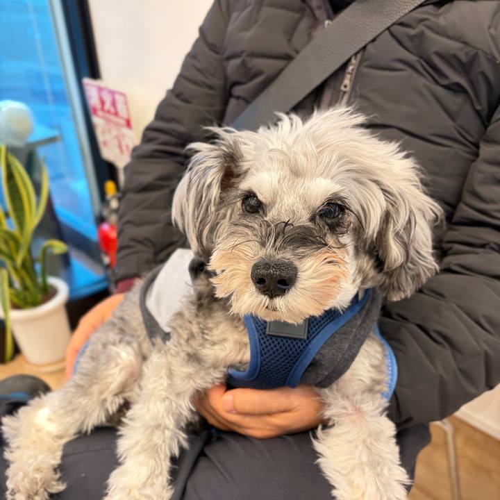 95e41a15 30fa 438d ac03 bcb0fac76ccb 1768059747319