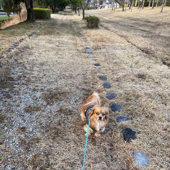 95e4374d 59a9 4537 855a 6bb423529638 1580683055865